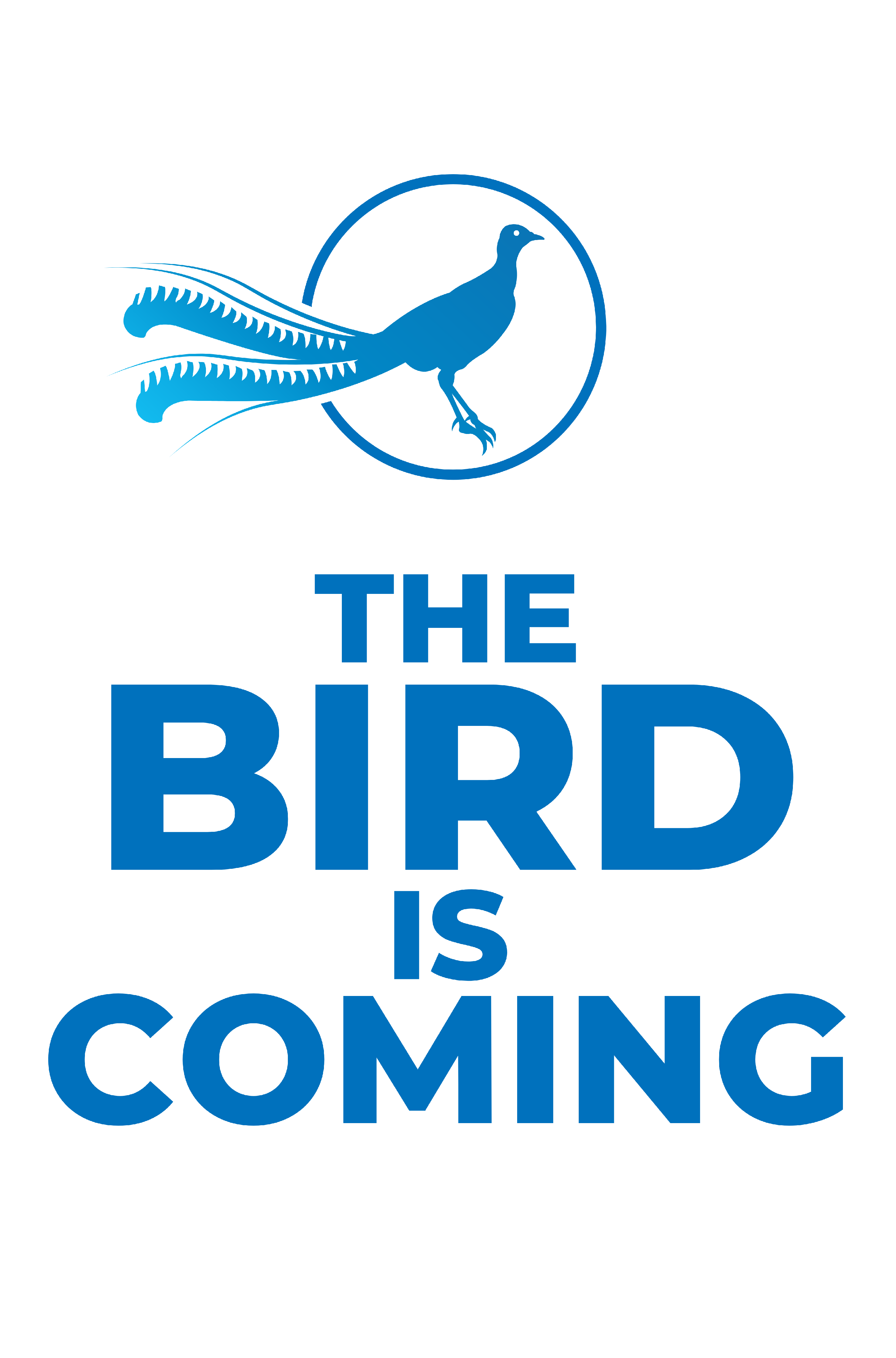 The Bird is Coming